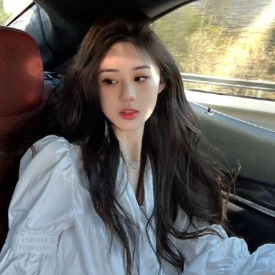 永春白鹤拳之擎天画卷 在线观看